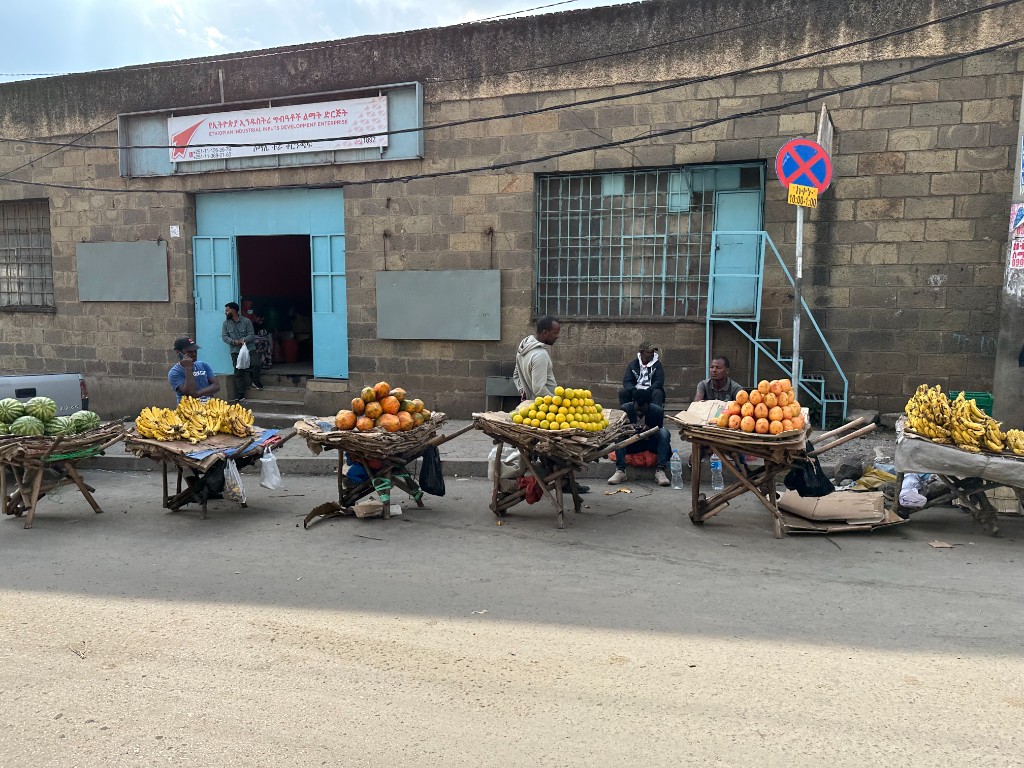 Local fruit vendors in an Ethiopian community